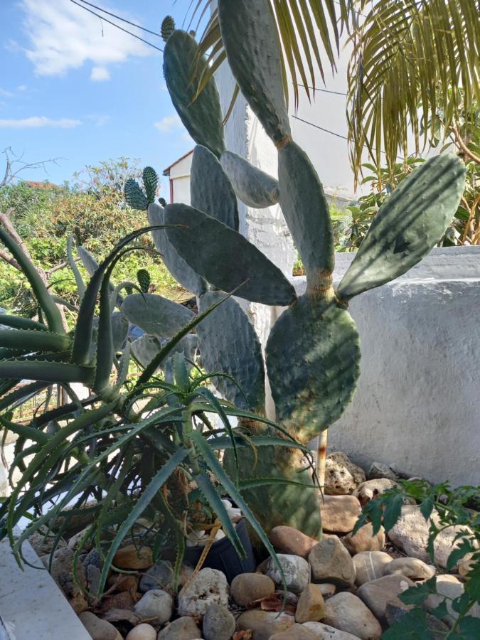 شقة Alexandros Cosy House For Family Vacation خانيا المظهر الخارجي الصورة
