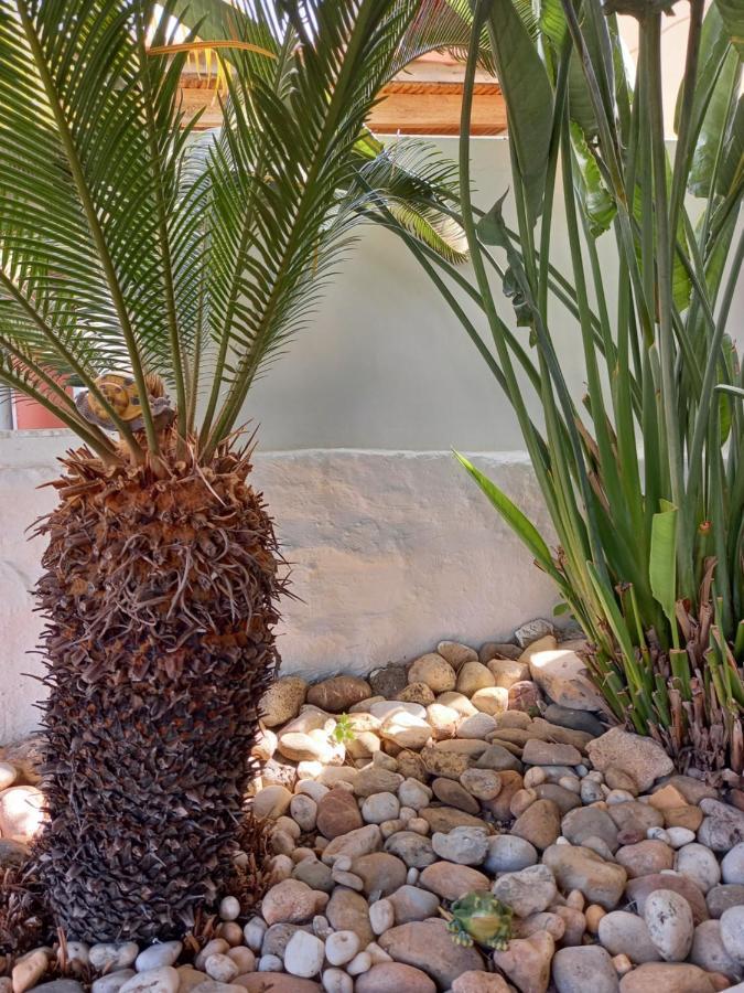 شقة Alexandros Cosy House For Family Vacation خانيا المظهر الخارجي الصورة