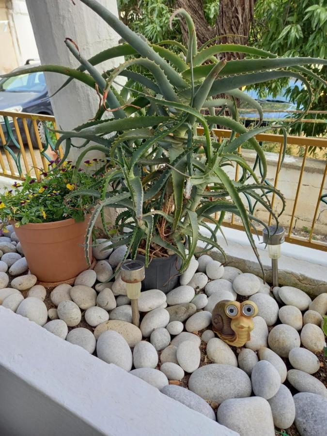 شقة Alexandros Cosy House For Family Vacation خانيا المظهر الخارجي الصورة